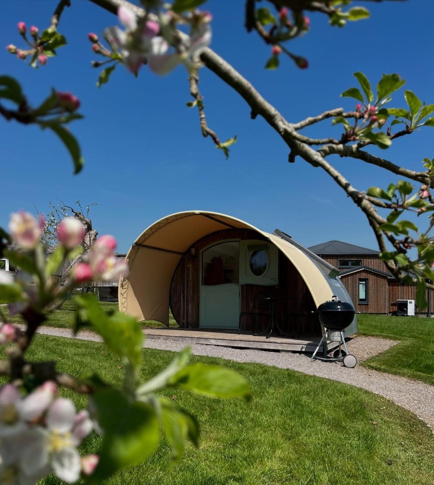 Middlewick Holiday Cottages Гластонбері Екстер'єр фото